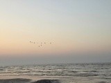 by Neha 