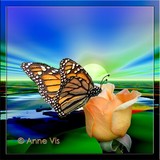 by Anne Vis