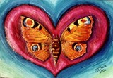 by Nira Dabush
