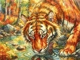 by Mark Peterson