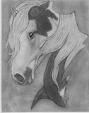 by Leah Jaarveth
