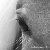 by Clarissa Cupolo
