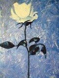 by Sapir Gilad