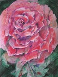 by Brigitte  Hintner