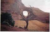 by michelle liggett