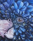 by nicolee payne