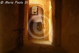 by Maria Paola Di Santo