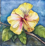 by Ingrid Kolster