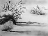 by Heather Ward