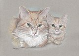 by Cindy Lambert