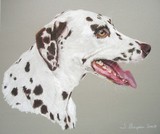 by Joanne Simpson-Connor