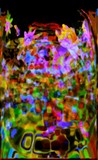 by Barry Huyett
