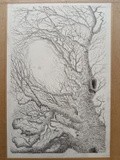 by alisdair small