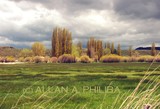 by Allan Philiba