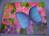 by Michelle Taylor