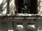 by Nikolay Semyonov