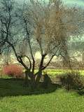 by gianantonio zago marino