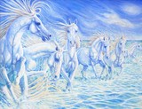 by Gill Bustamante