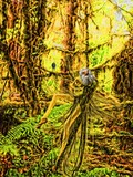 by rokko  spider