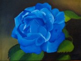 by Sandy Dewar
