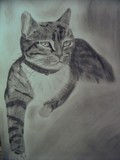 by Mona van der Veen