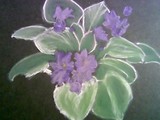 by Sarah Spalsbury