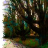 by Gabrielle Marie