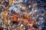 by Minerva Bloom