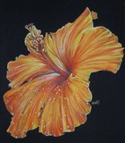 by Barbara Keith