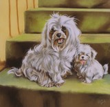 by Barbara Keith