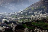 by Xiao zhuhua