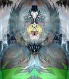 by TOMMY  BEAVER
