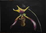 by lynette rate
