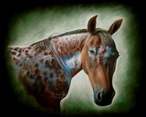 by Anne Jones