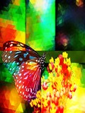by karie Miller