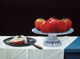 by Ton van Meerendonk