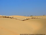 by Sanchita Mukherjee