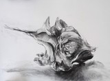 by Anne-Cecile Derrien