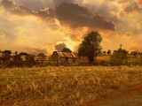 by Ropati Leaso-Cobb