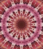 by Rhonda Barrett