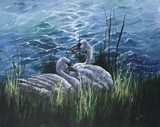 by Kathleen Davis