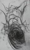 by Anna  Girgis