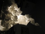 by Codie Schumann-Moerschel