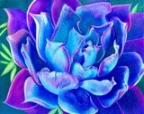 by DULCIE DEE