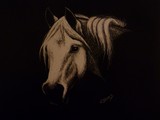by Jennifer Jeffris