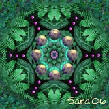 by Sara Deutsch