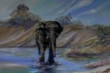 by Shirley Charlton