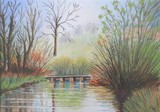 by Robin Woodford