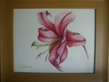 by Lisa Luchia Stocks