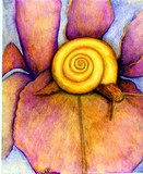 by Katherine Prezio